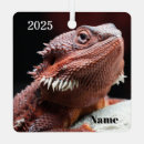 Recherche de dragon rouge ornements Reptile