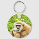 Recherche de monkey accessoires Animal