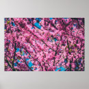 Recherche de vintage wildlife posters Nature