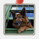 Recherche de griffe ornements Animal
