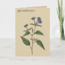 Zoek naar vintage botanical kaarten Illustratie