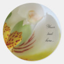 Recherche de macros autocollants Fleurs