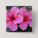 Recherche de de ketmie badges Rose