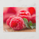 Zoek naar het zoete leven briefkaarten Voedsel