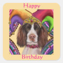 Recherche de springer anglais autocollants Spaniels