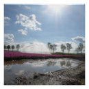 Recherche de tulipe rose posters Pour tous