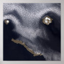Recherche de images de satellite posters Océan