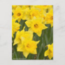 Recherche de sensation cartes postales Salutation