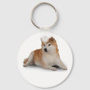 Recherche de shiba porteclés Animal familier