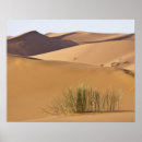 Recherche de désert du sahara posters Maroc