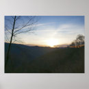 Zoek naar strand zonsopgang posters Palmboom