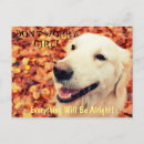 Recherche de amateur cartes postales Pour elle