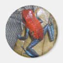 Recherche de conception colorée magnets Toute personne