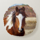 Recherche de beaux chevaux coussins Animaux