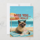 Recherche de missing you cartes postales Chat