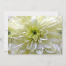Recherche de chrysanthemum invitations Fleurs