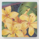Recherche de plumerias dessous de verres Pour elle
