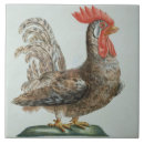 Recherche de jeune coq 18ème