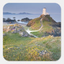 Recherche de phare autocollants Coquillage