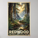 Recherche de séquoia géant posters Redwood