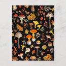 Recherche de champignons sauvages cartes postales Boisé