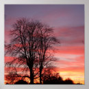 Zoek naar boom silhouet posters Roze