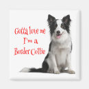 Recherche de chien de border collie magnets Chiots