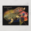 Recherche de reptiles cartes postales Désert