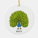 Recherche de plumes de paon ornements Illustration