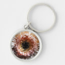Recherche de gerbera porteclés Flore