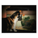 Zoek naar kiss kunst Gezelschapsdieren
