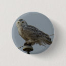 Recherche de hibou badges Rapaces