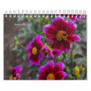 Zoek naar dahlia kalenders Floreel