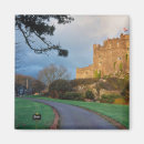 Recherche de st david magnets Gallois