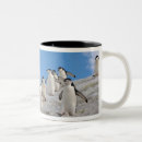Recherche de manchot tasses Antarctique