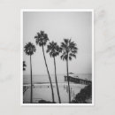 Recherche de palmier noir et blanc cartes postales Océan
