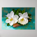 Zoek naar grote bloemen posters Magnolia