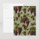 Recherche de amateur vin cartes postales Vignoble