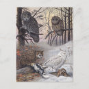 Recherche de hiboux cartes postales Illustration