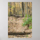 Recherche de fenêtre en bois posters Automne