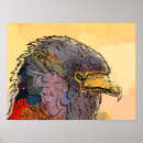 Recherche de rapace posters Faucons