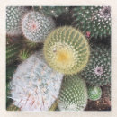 Zoek naar cactussen onderzetters Planten