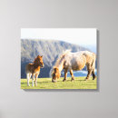 Recherche de poney impressions sur toile Martin zwick
