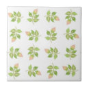 Recherche de bourgeon carreaux Blanc