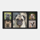 Recherche de bouledogue de électronique Élégant