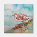 Recherche de bene magnets Oiseau