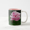Recherche de pivoine tasses Rose