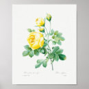 Zoek naar gel posters Elegant