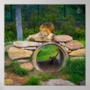 Recherche de outback posters Photographie