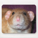 Zoek naar ratten muismatten Schattig